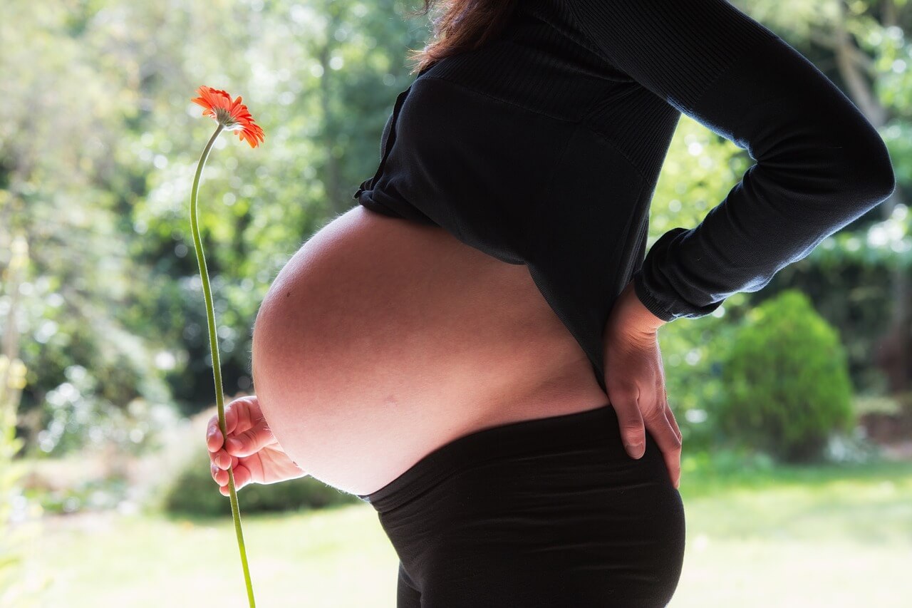 Is Hibiscus Tea Good For You When Pregnant?